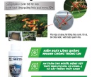 PM090. PHÂN VI SINH ĐIỀN TRANG TRICHO META BTi 100ml