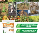 PG058. PHÂN HỮU CƠ ĐIỀN TRANG NEEM PLUS 40KG