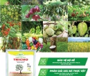 PM054. PHÂN VI SINH ĐIỀN TRANG TRICHO NEMA 500G