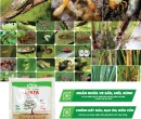 PM036. PHÂN VI SINH ĐIỀN TRANG TRICHO META 500G