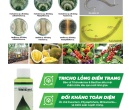 PM068. PHÂN VI SINH ĐIỀN TRANG TRICHO LỎNG 100ML
