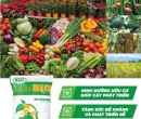 PG079. PHÂN HỮU CƠ  ĐIỀN TRANG TRIMIX BIO VIÊN NỞ 25KG