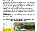 PL024. PHÂN BÓN LÁ TRIMIX-DT SIÊU RA RỄ 120G