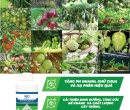 PL210. DUNG DỊCH NÂNG pH 500ML