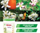 PL068. PHÂN BÓN LÁ FEED-DT02 KÍCH BÔNG CÂY CÓ MÚI 500G