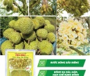 PL015. PHÂN BÓN LÁ  FEED-DT02 RƯỚC BÔNG SẦU RIÊNG 100G