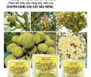 PL015. PHÂN BÓN LÁ  FEED-DT02 RƯỚC BÔNG SẦU RIÊNG 100G
