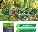 PM089. PHÂN VI SINH ĐIỀN TRANG TRICHO GIẢI ĐỘC PACLO 500G