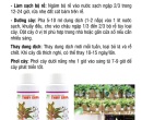 PL102. DUNG DỊCH DINH DƯỠNG THỦY CANH 100ML