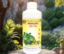 PL145. PHÂN BÓN LÁ BREED-DT02 LỚN TRÁI CÂY CÓ MÚI 500ML