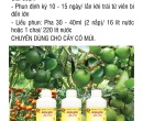 PL145. PHÂN BÓN LÁ BREED-DT02 LỚN TRÁI CÂY CÓ MÚI 500ML