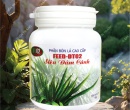 PL077. PHÂN BÓN LÁ FEED-DT02 SIÊU ĐÂM CÀNH 150G