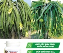 PL077. PHÂN BÓN LÁ FEED-DT02 SIÊU ĐÂM CÀNH 150G