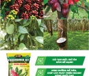 PG021. PHÂN HỮU CƠ TRICHOMIX-DT CÂY CÔNG NGHIỆP 50KG