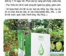 PL076. PHÂN BÓN LÁ TRIMIX-DT 10ML (NEW)