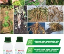 PL131. CHẤT BÁM DÍNH SINH HỌC NEEM 100ML