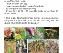 PL131. CHẤT BÁM DÍNH SINH HỌC NEEM 100ML