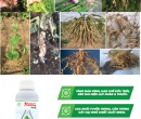 PL127. CHẤT BÁM DÍNH SINH HỌC NEEM 500ML