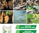 PG101. PHÂN HỮU CƠ NEEM CAKE 750g