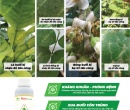 PL177. CHẤT BÁM DÍNH SINH HỌC NEEM CHITO 500ML