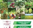 PG107. PHÂN BÓN NPK-GUANO PLUS T1 20-15-5+TE 25KG