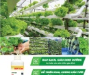 PL140. DUNG DỊCH DINH DƯỠNG THỦY CANH RAU 500ML