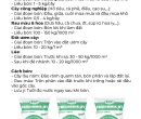 PG078. PHÂN HỮU CƠ TRICHOMIX-DT CẢI TẠO ĐẤT SPECIAL 50KG
