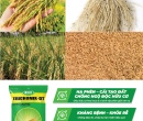 PG077. PHÂN HỮU CƠ TRICHOMIX-DT LÚA 25KG