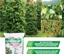 PG023. PHÂN HỮU CƠ TRICHOMIX-DT TIÊU (TRẮNG) 1 50KG
