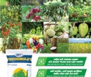 PG075. PHÂN HỮU CƠ TRICHOMIX-DT VIÊN TRICHO NỞ 25KG
