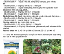PG075. PHÂN HỮU CƠ TRICHOMIX-DT VIÊN TRICHO NỞ 25KG