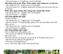 PG051. PHÂN HỮU CƠ ĐIỀN TRANG TRIMIX BIO PLUS 50KG