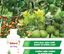 PL143. PHÂN BÓN LÁ TRIMIX SIÊU DƯỠNG CÂY CÓ MÚI 500ML