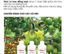 PL143. PHÂN BÓN LÁ TRIMIX SIÊU DƯỠNG CÂY CÓ MÚI 500ML