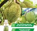 PL201. PHÂN BÓN LÁ TRIMIX-DT XANH DA SẦU RIÊNG 120ML