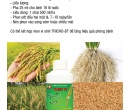 PL091. PHÂN BÓN LÁ TRIMIX-DT HỮU CƠ LÚA 500ML