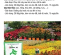 PG010. PHÂN HỮU CƠ TRIMIX-N1 KIỂNG 700G