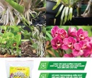 PG027. PHÂN HỮU CƠ TRIMIX N1 LAN 480G