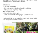 PG027. PHÂN HỮU CƠ TRIMIX N1 LAN 480G