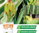 PG060. PHÂN HỮU CƠ TRIMIX N1 THANH LONG (NỤ) 50 KG