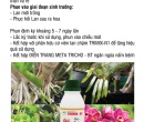 PL047. PHÂN BÓN LÁ TRIMIX-DT ORCHID  100ML