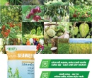 PG087. PHÂN HỮU CƠ Điền Trang - Trimix - SEAWEED 40Kg