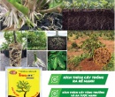 PL157. TRIMIX-DT SIÊU RA RỄ 25G