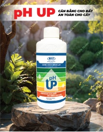 PL210. DUNG DỊCH NÂNG pH 500ML