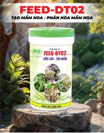 PL081. PHÂN BÓN LÁ FEED-DT02 SIÊU LÂN TẠO MẦM 500G