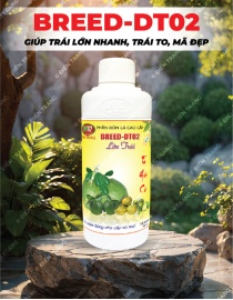 PL145. PHÂN BÓN LÁ BREED-DT02 LỚN TRÁI CÂY CÓ MÚI 500ML