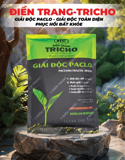 PM089. PHÂN VI SINH ĐIỀN TRANG TRICHO GIẢI ĐỘC PACLO 500G