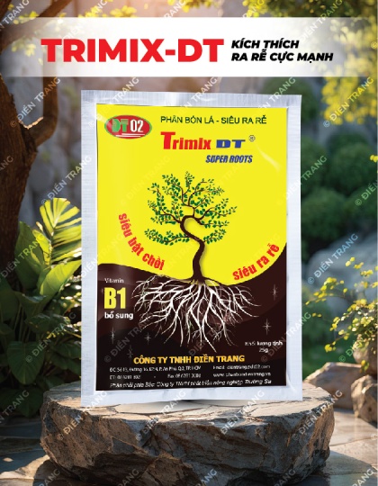 PL157. TRIMIX-DT SIÊU RA RỄ 25G
